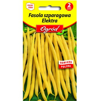 PlantiCo Fasola zwykła karłowa szparagowa Elektra nasiona