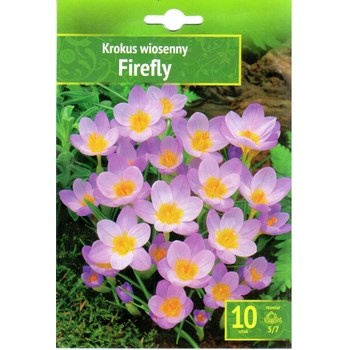 Krokus wiosenny Firefly 10 szt. Benex