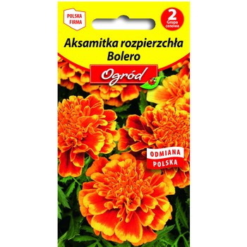 PlantiCo Aksamitka rozpierzchła Bolero nasiona