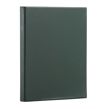 Segregator A4 Panorama 25mm 4R zielony