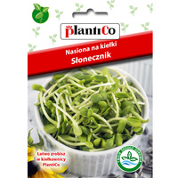 Nasiona na kiełki - Słonecznik Plantico