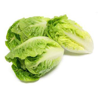 SAŁATA LITTLE GEM KL.I PL 2SZT