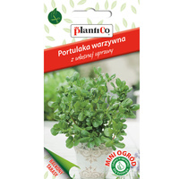 Portulaka warzywna PlantiCo
