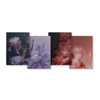 Kalendarz Oxford Nostalgic 2024 15X21 dzienny