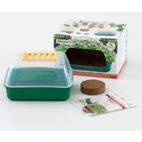 Nasiona rzodkiewki do uprawy mikrolistków w zestawie