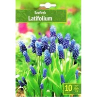 Szafirek 10 szt Benex