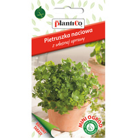 Pietruszka liściowa, gładka PlantiCo
