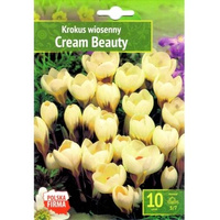 Krokus Cream Beauty Benex
