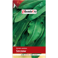 PlantiCo Szczaw