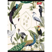 Unipap zeszyt okładka laminowana A5, 60 kartek, linia Nature