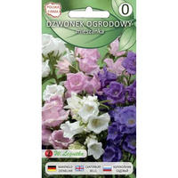 Dzwonek ogrodowy mieszanka  0,5g  Seria bazowa Legutko