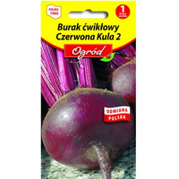 PlantiCo Burak ćwikłowy Czerwona kula nasiona