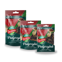 Podgrzybek suszony 40 g. Devaldano.