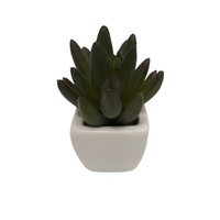 Sztuczny sukulent 10 cm Comfort Living