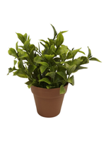 Sztuczna roślina chilli 12,5 cm Comfort Living