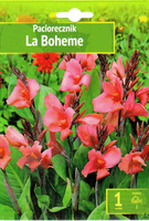 Canna - Paciorecznik La Boheme Wybór "I" 1 Szt.