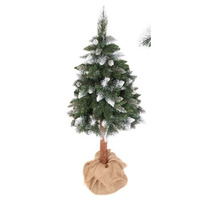 Sosna Cristal na pniu 180