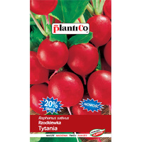 Rzodkiewka Tytania PlantiCo
