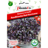 Nasiona na kiełki - Rzodkiewka Red Hurricane Plantico