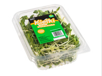 KIEŁKI SŁONECZNIKA 200G