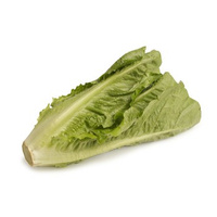 SAŁATA RZYMSKA KL.I POL 1SZT