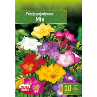 Kapers Fressia - Frezja Pojedyncza Mix 5/+ 10 szt. Benex