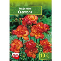 Kapers Fressia - Frezja Pełna Czerwona 5/+ 10 szt. Benex