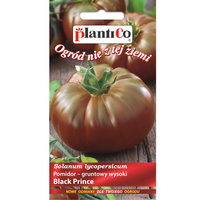 Pomidor Black Prince PlantiCo
