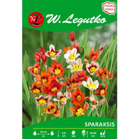 Sparaksis mieszanka seria tradycyjna Legutko