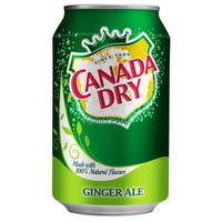 Canada Dry 0,33L