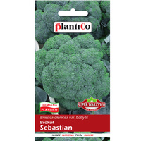 Brokuł Sebastian PlantiCo