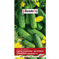 Ogórek konserwowy Gwidon F1 PlantiCo
