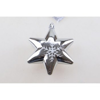 EM&EM Zawieszka na choinkę gwiazdka srebrna