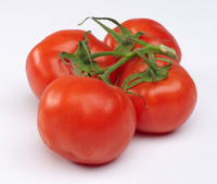 Bio-pomidor okrągłygałązka 500g