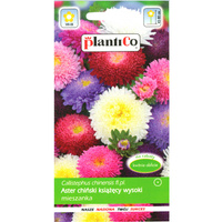 PlantiCo Aster chiński książęcy mieszanka