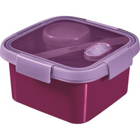 Pojemnik SMART TO GO LUNCH KIT kwadratowy