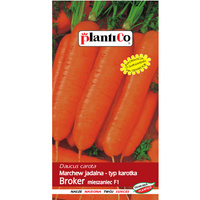 Marchew jadalna Broker F1 PlantiCo