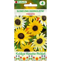 Kwiaty Polskie - Słonecznik ogórkolistny mieszanka Legutko