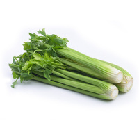 SELER NACIOWY POLSKA 1SZT