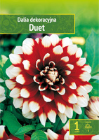 Dahlia - Dalia Duet Wybór "I" 1 Szt.