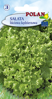 Sałata Kędzierzawa Polan