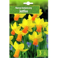Narcyz Jetfire Benex