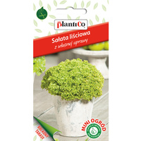 PlantiCo Sałata, liściowa zielona