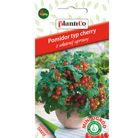 Pomidor typ cherry, czerwony PlantiCo