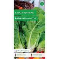 Sałata rzymska Parris Island cos 0,51 Legutko