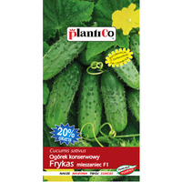 Ogórek konserwowy Frykas mieszaniec F1 PlantiCo