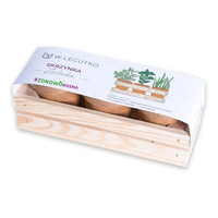 skrzynka zielinka Legutko