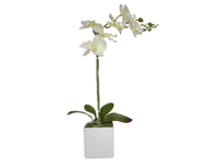 Sztuczna roślina storczyk 52 cm Comfort Living