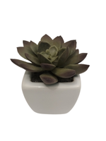 Sztuczny kaktus 8 cm Comfort Living