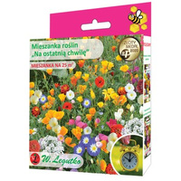 Mieszanka roślin jednorocznych Na ostatnią chwilę 125g Legutko